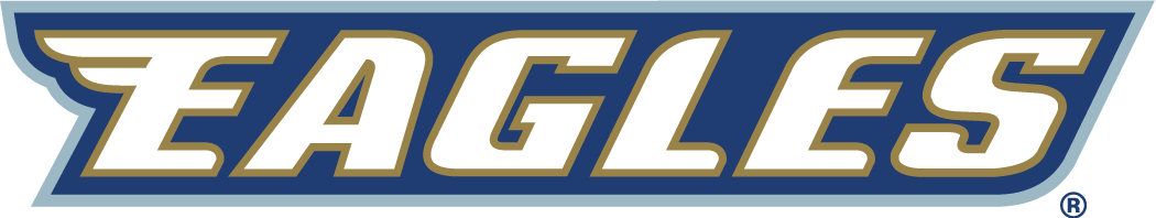 Georgia Southern Eagles 2004-Pres Wordmark Logo iron on transfers for fabric